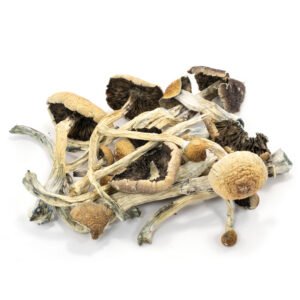 Magic mushrooms