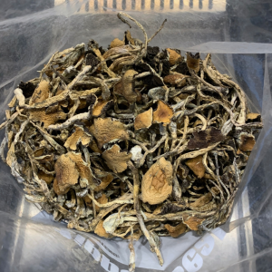Alternative view of Cambodian Mushrooms
