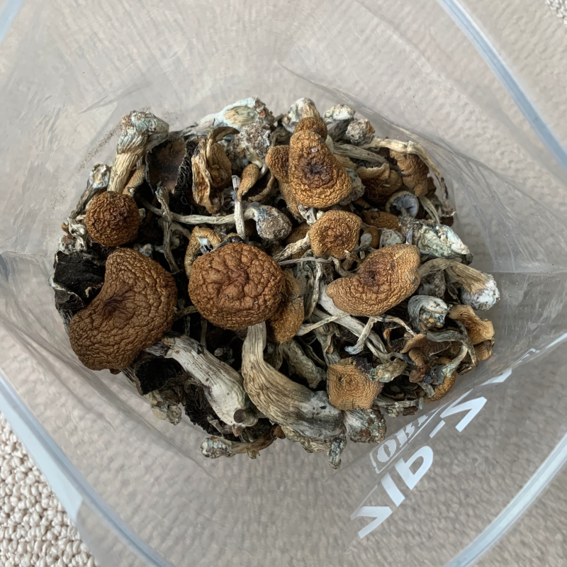 Thai Mushrooms - Image 2