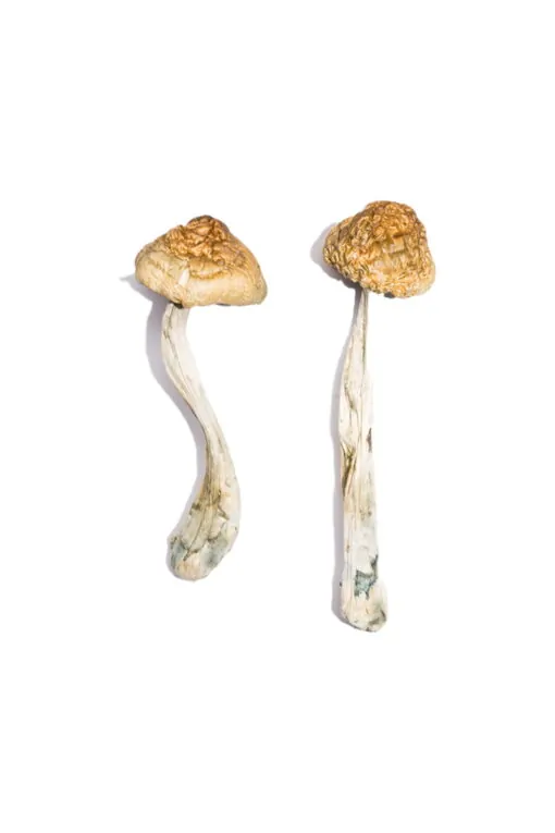 McKennaii