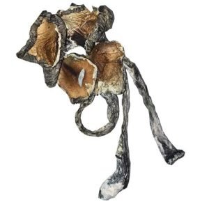 Meanie Magic Mushrooms