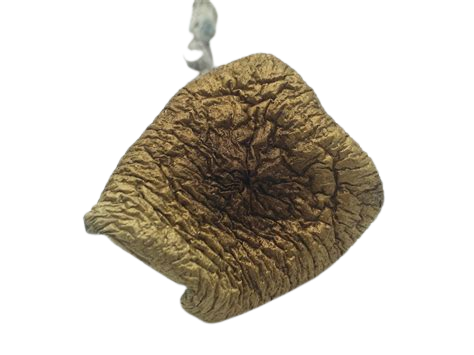 Mexican Dutch King Magic Mushroom (MDK)