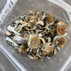 Alternative view of Jedi Mind Fuck Mushrooms