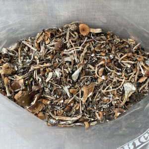 Alternative view of Premium Magic Mushrooms Variety Pack