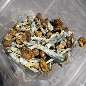 Alternative view of Malabar Mushrooms