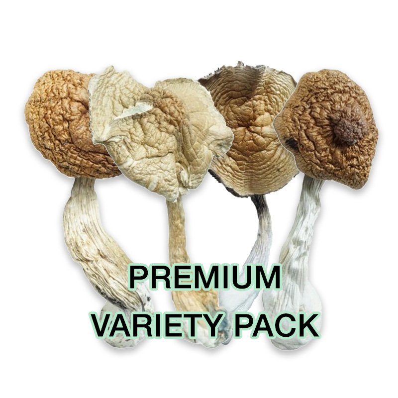 Premium Magic Mushrooms Variety Pack
