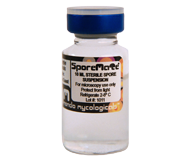 SPORE VIALS PANAEOLUS CYANESCENS